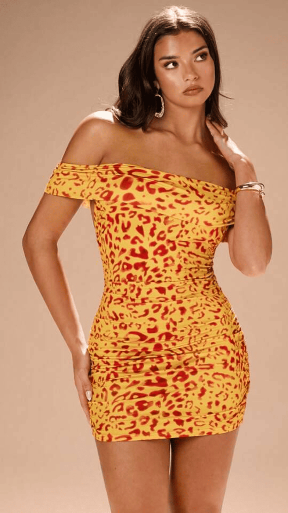 Cheetah Print Bodycon Dress
